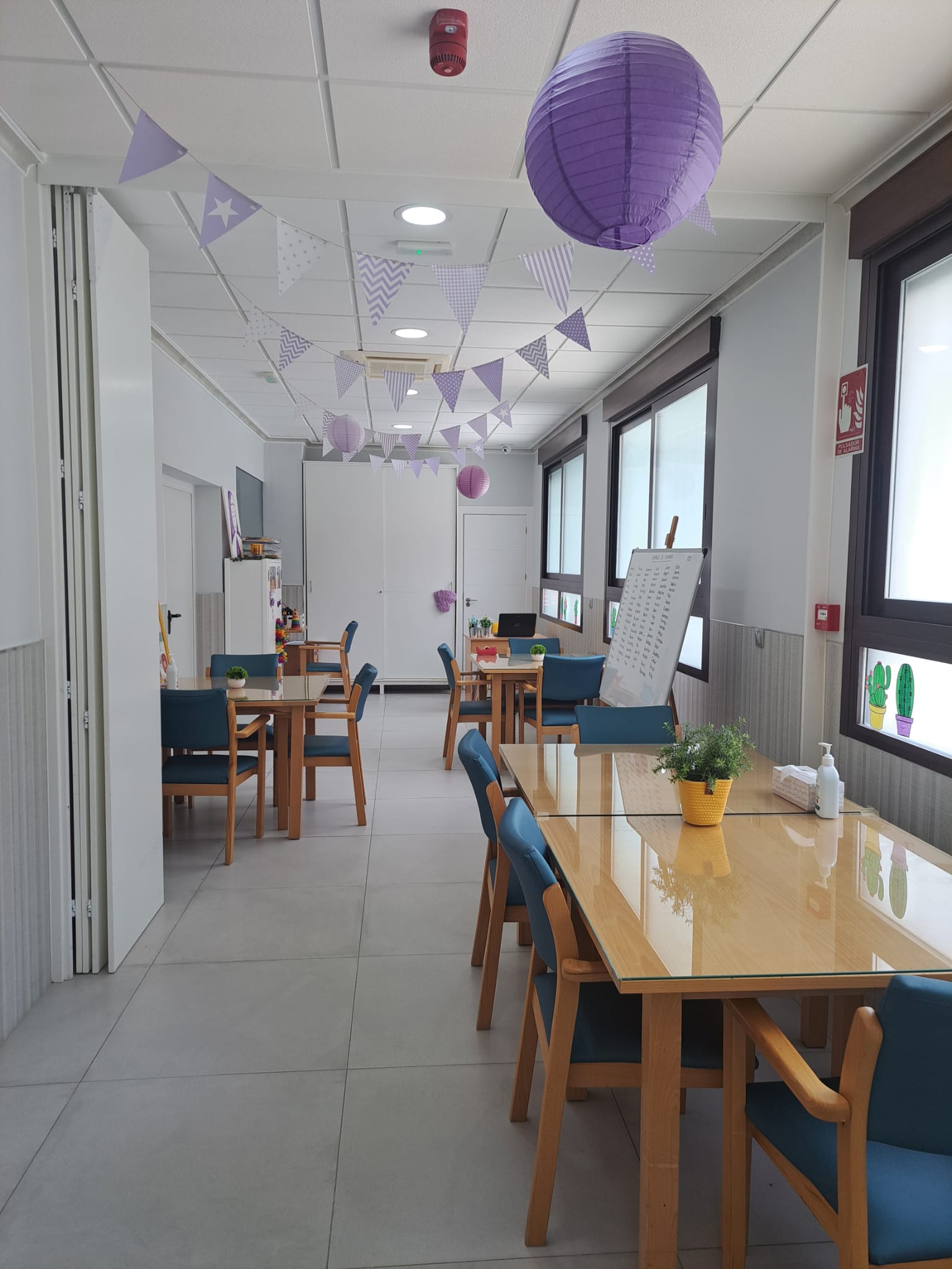 Terapia ocupacional y animación sociocultural