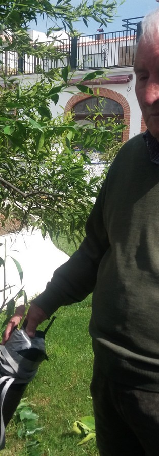 Potenciando los dones de nuestro residente/usuario José Cañada: Injertando nuestros naranjos.
