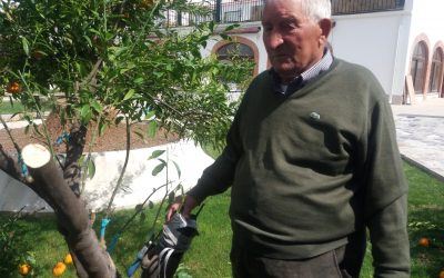 Potenciando los dones de nuestro residente/usuario José Cañada: Injertando nuestros naranjos.