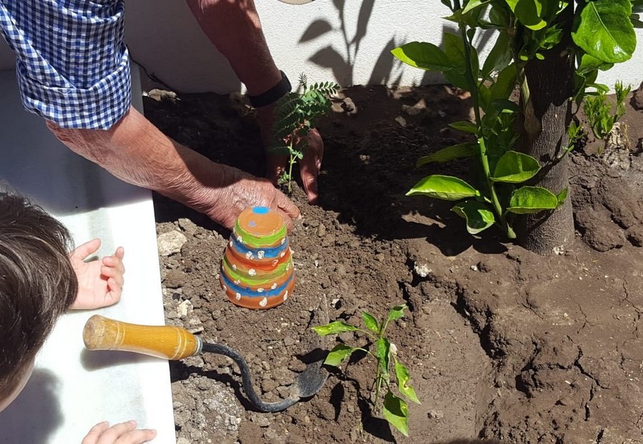 LOS NIÑOS DEL COLE PARTICIPAN CON NUESTROS residente/usuarioS EN EL HUERTO