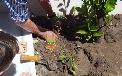 LOS NIÑOS DEL COLE PARTICIPAN CON NUESTROS residente/usuarioS EN EL HUERTO