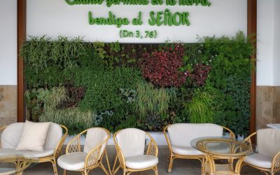 FORMACIÓN MUY PRODUCTIVA