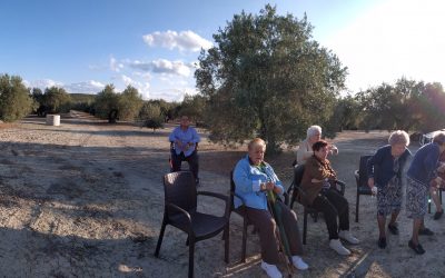 Recogida de Aceitunas «En Agua» por nuestros residente/usuarios y Usuarios