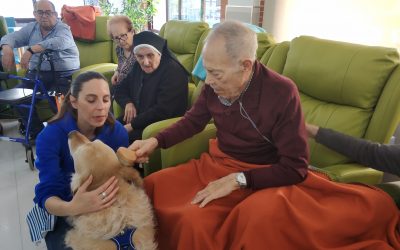 COMIENZA LA TERAPIA CON PERROS EN «NTRA. SRA. DE LOS DESAMPARADOS»
