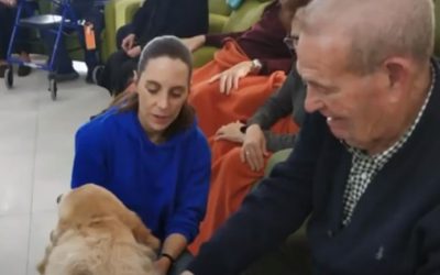 TERAPIA CANINA EN LA RESIDENCIA Y CENTRO DE DÍA PARA MAYORES «NTRA. SRA. DE LOS DESAMPARADOS» DE TORREDONJIMENO
