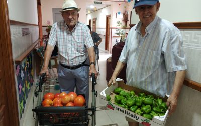 LA HUERTA DE LA RESIDENCIA YA HA DADO SUS FRUTOS