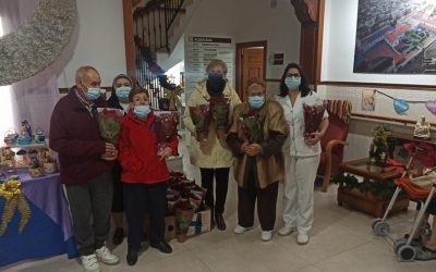 FLOR DE PASCUA PARA NUESTRA RESIDENCIA