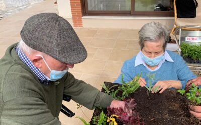 Taller de plantación en el jardín vertical de la residencia