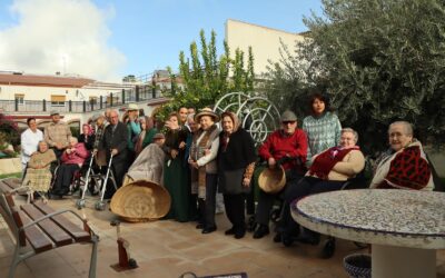 RECOGIDA DE ACEITUNA EN NUESTRA RESIDENCIA