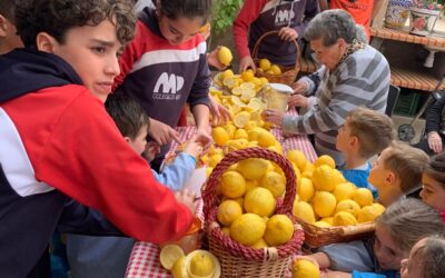 RECOGIDA DE LIMONES